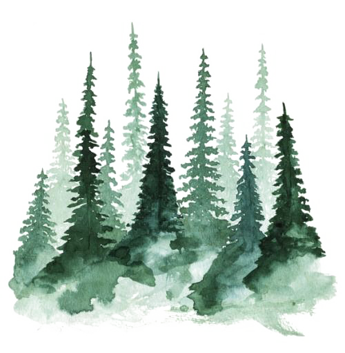 a transparent stock image of a drawing of a forest. the trees are tall and green, with straight and horizontal branches. the drawing is done in a somewhat faded, monochrome watercolor style.