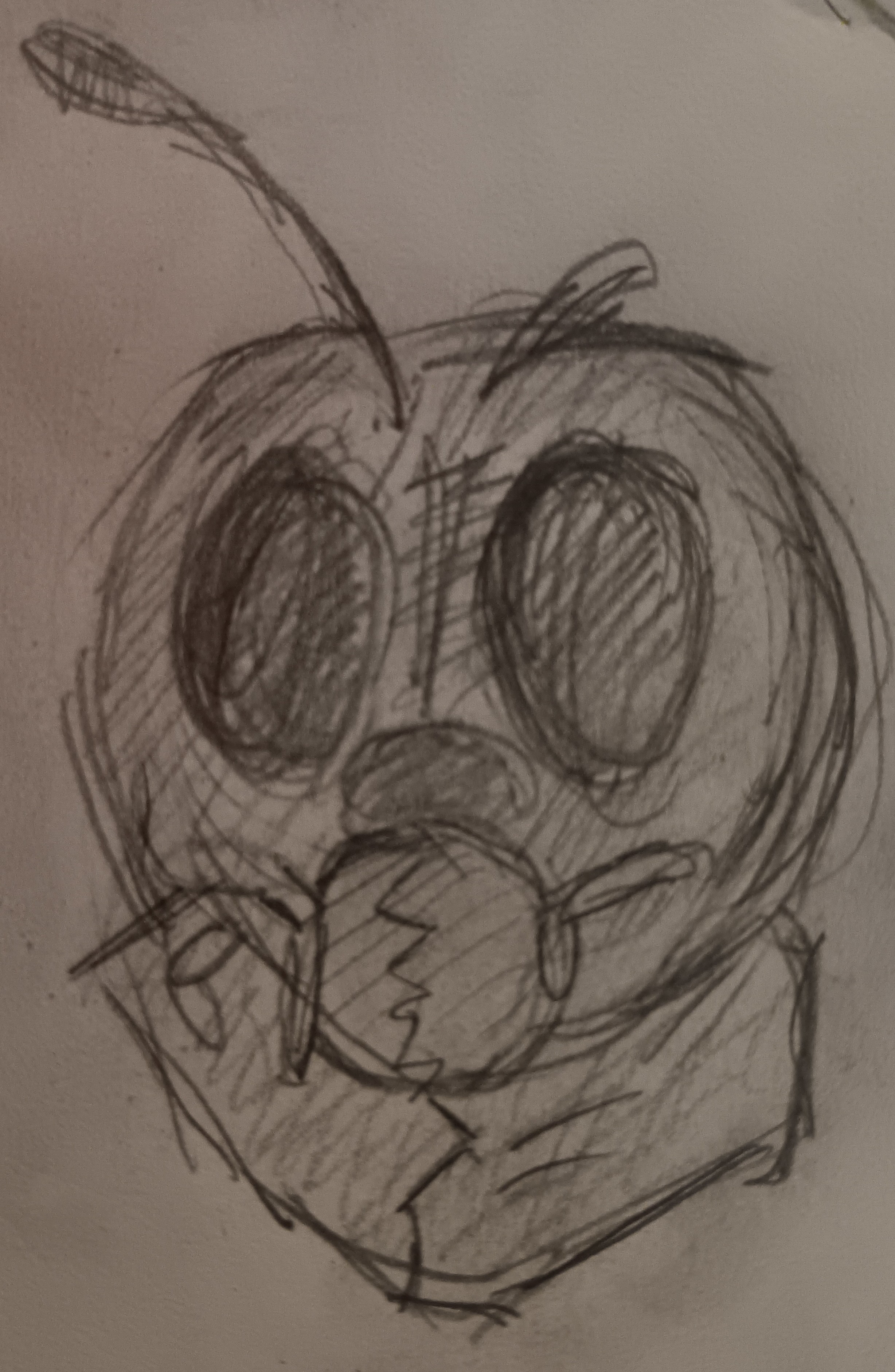 a pencil sketch of jara. this is a concept/practice sketch, and is very similar to the first, though her mandibles look more rounded. she is looking to the camera head-on.