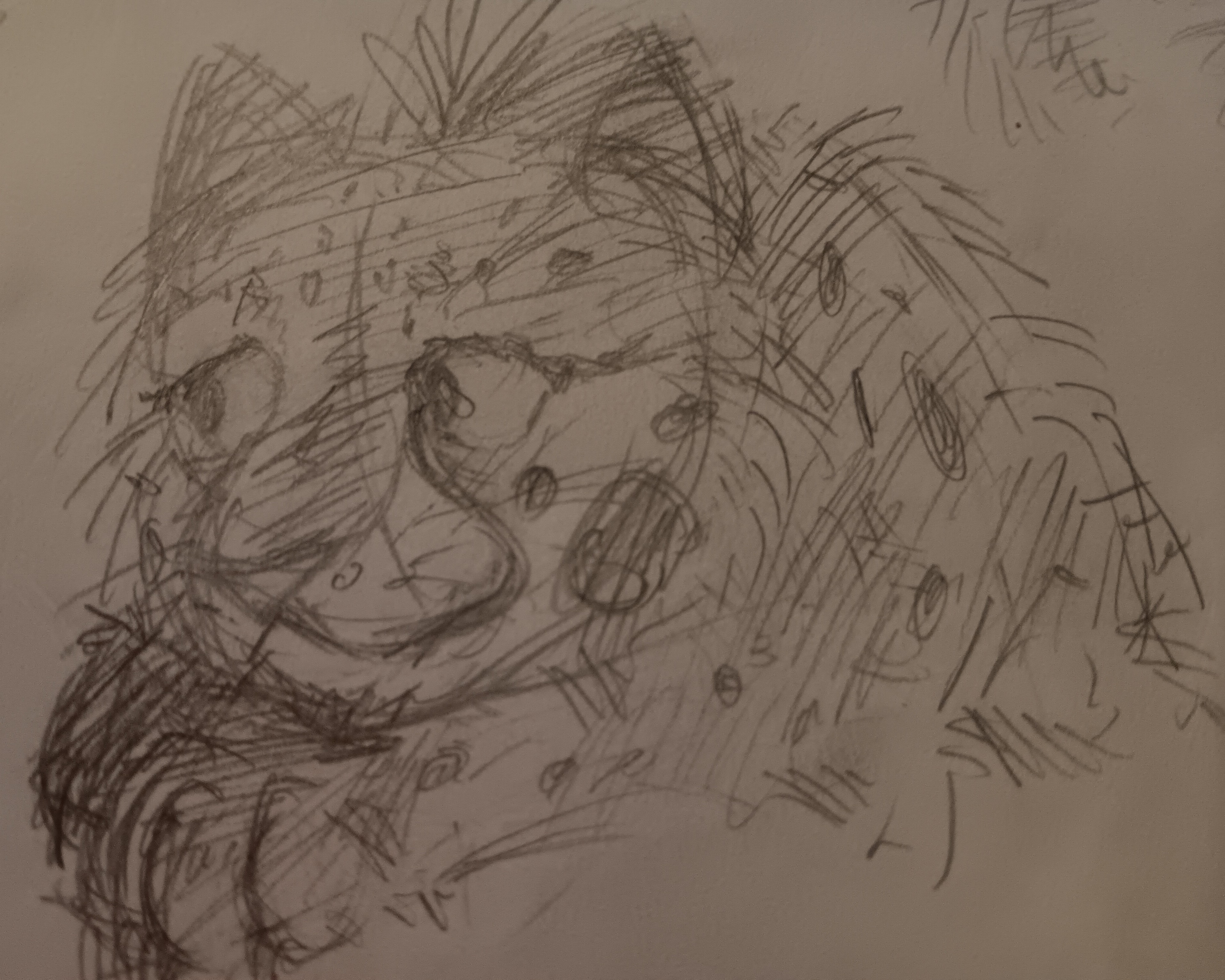 a pencil sketch of seònaid. ve is looking to the left at a 3/4 angle with a tired, sad expression. ve has both front paws tucked under vir chin.